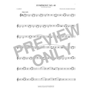 Symphony No. 40 In G Minor, First Movement Excerpt